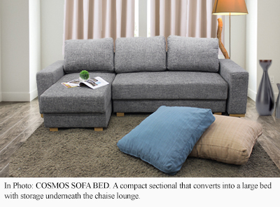 What are the benefits of a Sofa bed?